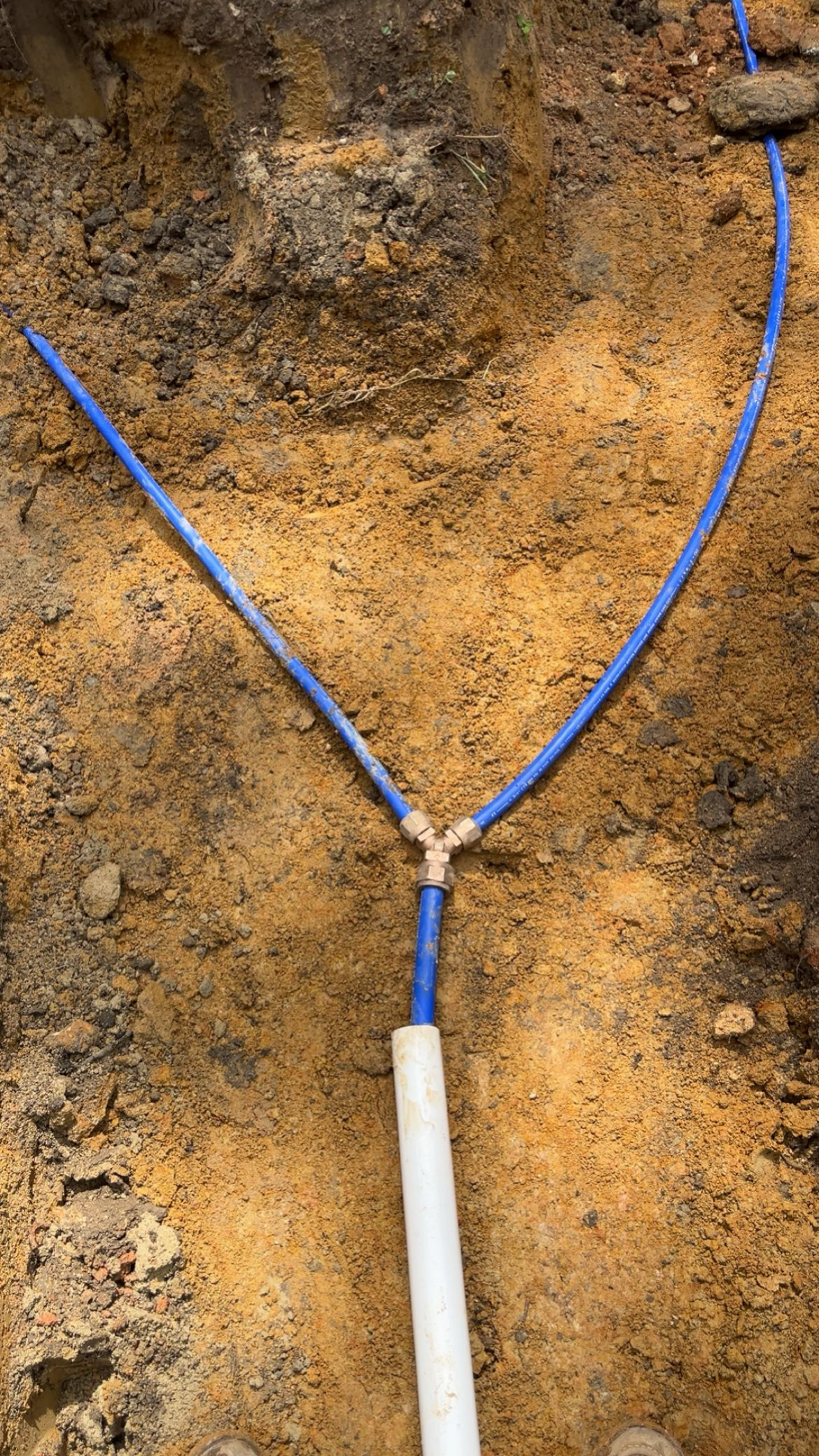 Adams Built Corporation project photo 9