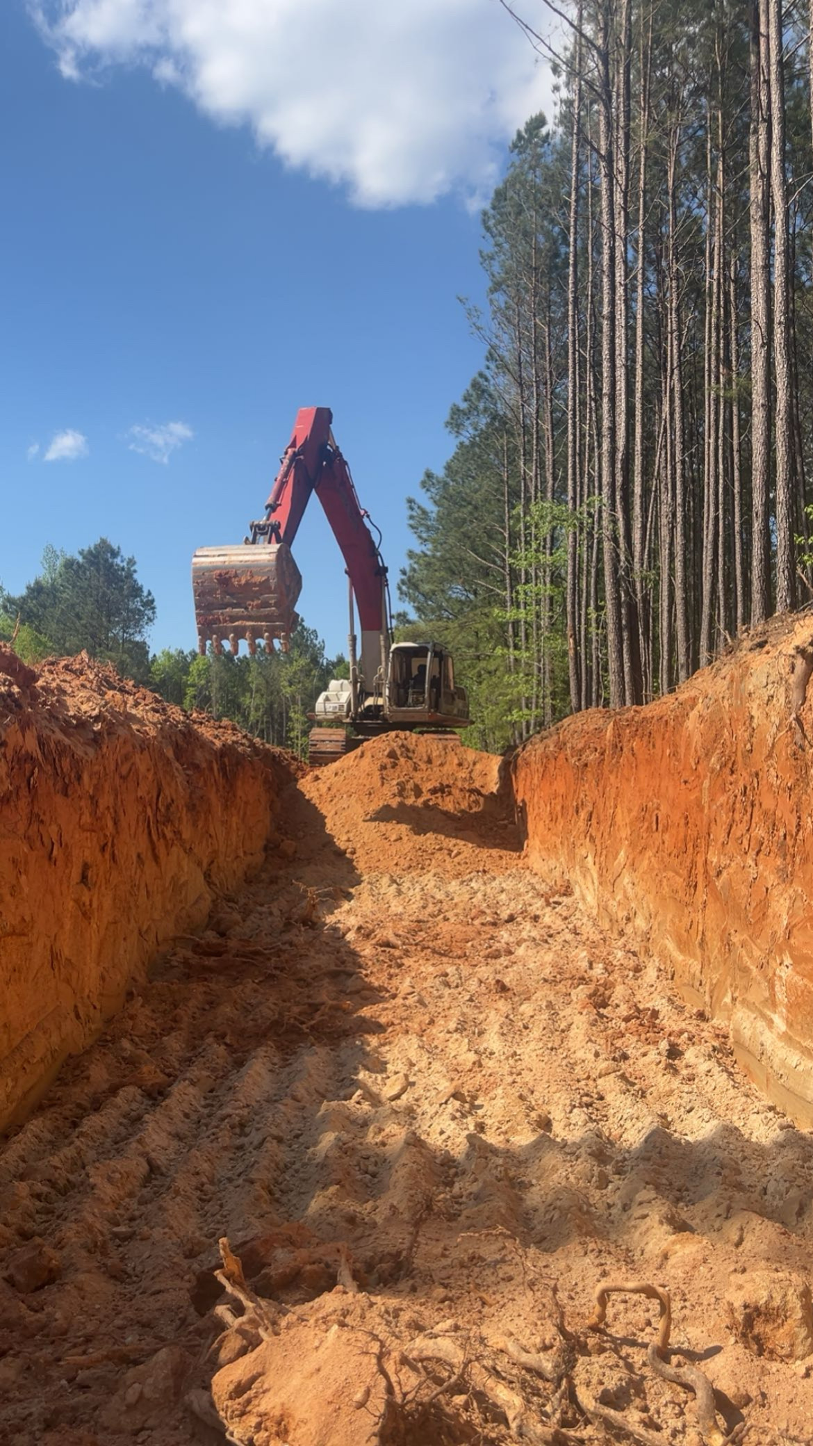 Recent Adams Built Corporation project photo 6